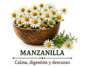 Manzanilla
