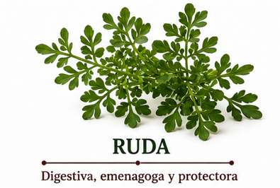 Ruda